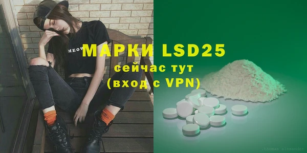 прущий лед Богданович