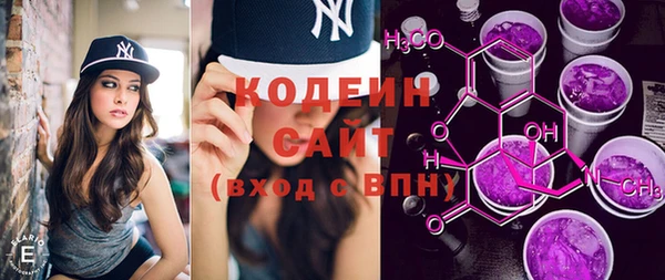 прущий лед Богданович
