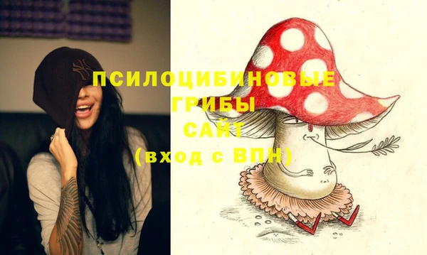 прущий лед Богданович